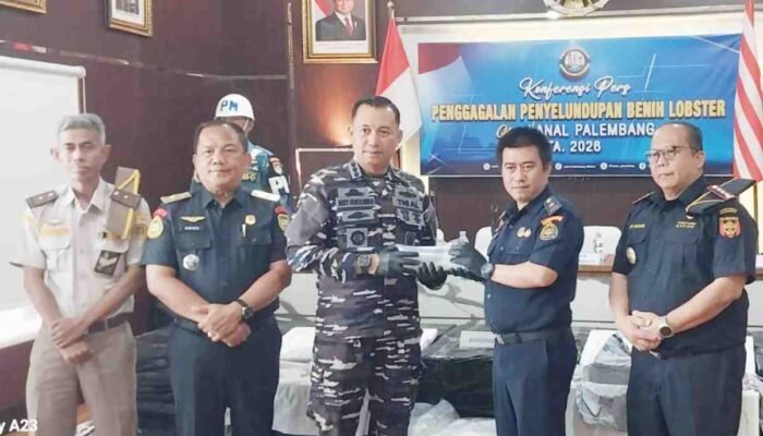 Drama Kejar-kejaran di Hutan Bakau Jambi, Lanal Palembang Amankan Ribuan Benih Lobster