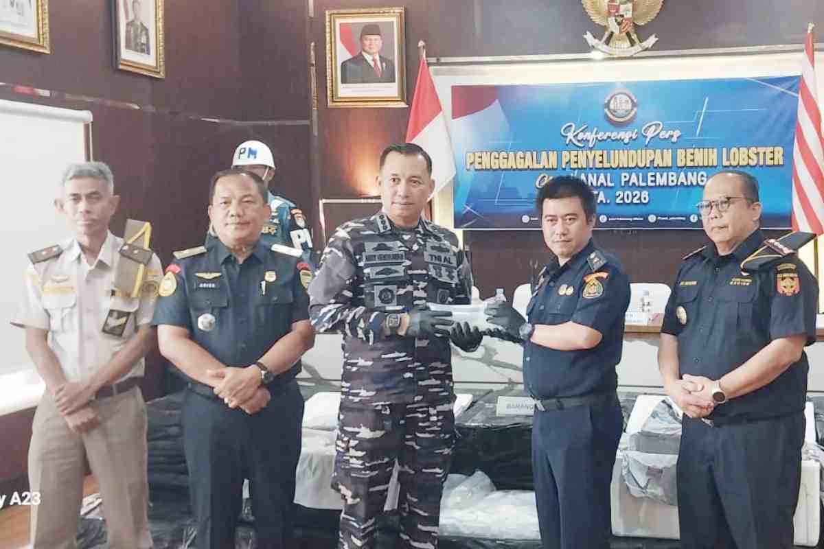 Drama Kejar-kejaran di Hutan Bakau Jambi, Lanal Palembang Amankan Ribuan Benih Lobster