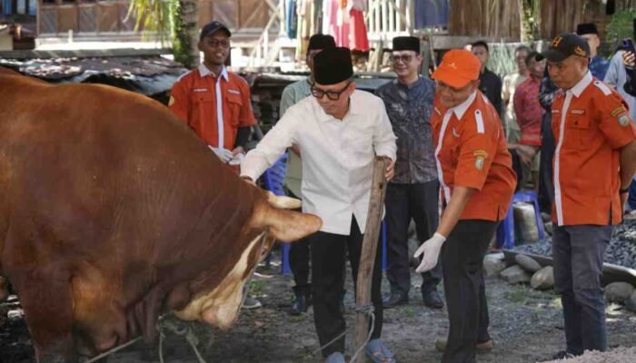 Gandeng Sektor Industri, Bupati OKU Teddy Meilwansyah Sebar 12 Sapi Kurban ke Desa