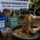 Jangan Dibuang, Gerakan Menabung Rumen Kurban Ubah Limbah Jadi Pupuk Organik Super