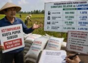 Kalah Jatah dari Lampung, DPTPH Sumsel Bongkar Ketimpangan Kuota Pupuk Subsidi