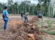 Lawan Krisis Pangan, Satgas TMMD Ke-128 Sulap Lahan Tidur di OKI Jadi Kebun Jagung