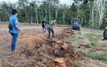 Lawan Krisis Pangan, Satgas TMMD Ke-128 Sulap Lahan Tidur di OKI Jadi Kebun Jagung