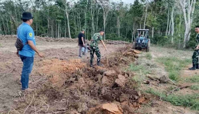 Lawan Krisis Pangan, Satgas TMMD Ke-128 Sulap Lahan Tidur di OKI Jadi Kebun Jagung