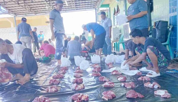 Pecah Kebuntuan Delapan Tahun, Masjid Al-Muttaqin Baturaja Barat Sukses Salurkan Enam Hewan Kurban