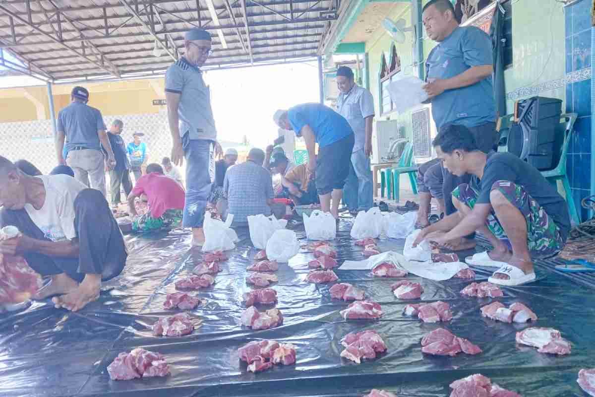 Pecah Kebuntuan Delapan Tahun, Masjid Al-Muttaqin Baturaja Barat Sukses Salurkan Enam Hewan Kurban