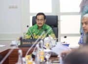 Wakil Bupati Abdur Rohman Husen Desak Percepatan Revitalisasi Jembatan P.6 Lalan