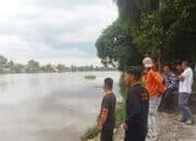 Warga Kayuagung Cemas Buaya Muncul Berulang Kali di Dekat Masjid Agung Solihin