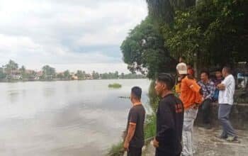 Warga Kayuagung Cemas Buaya Muncul Berulang Kali di Dekat Masjid Agung Solihin