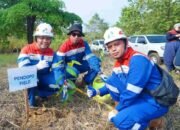 33 Konflik Manusia dan Gajah Tercatat, Habitat Benakat-Semangus Direstorasi