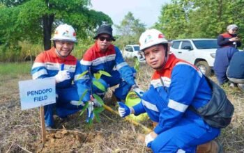 33 Konflik Manusia dan Gajah Tercatat, Habitat Benakat-Semangus Direstorasi