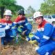 33 Konflik Manusia dan Gajah Tercatat, Habitat Benakat-Semangus Direstorasi