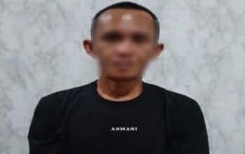 Berbekal Laporan Warga, Budidaya Ganja di OKU Selatan Terbongkar