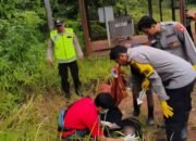 Diduga Tersengat Listrik Tegangan Tinggi Saat Panen Sawit, Petani di Peninjauan Meninggal