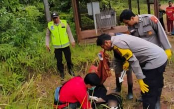 Diduga Tersengat Listrik Tegangan Tinggi Saat Panen Sawit, Petani di Peninjauan Meninggal