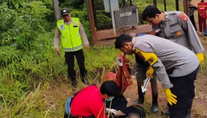 Diduga Tersengat Listrik Tegangan Tinggi Saat Panen Sawit, Petani di Peninjauan Meninggal