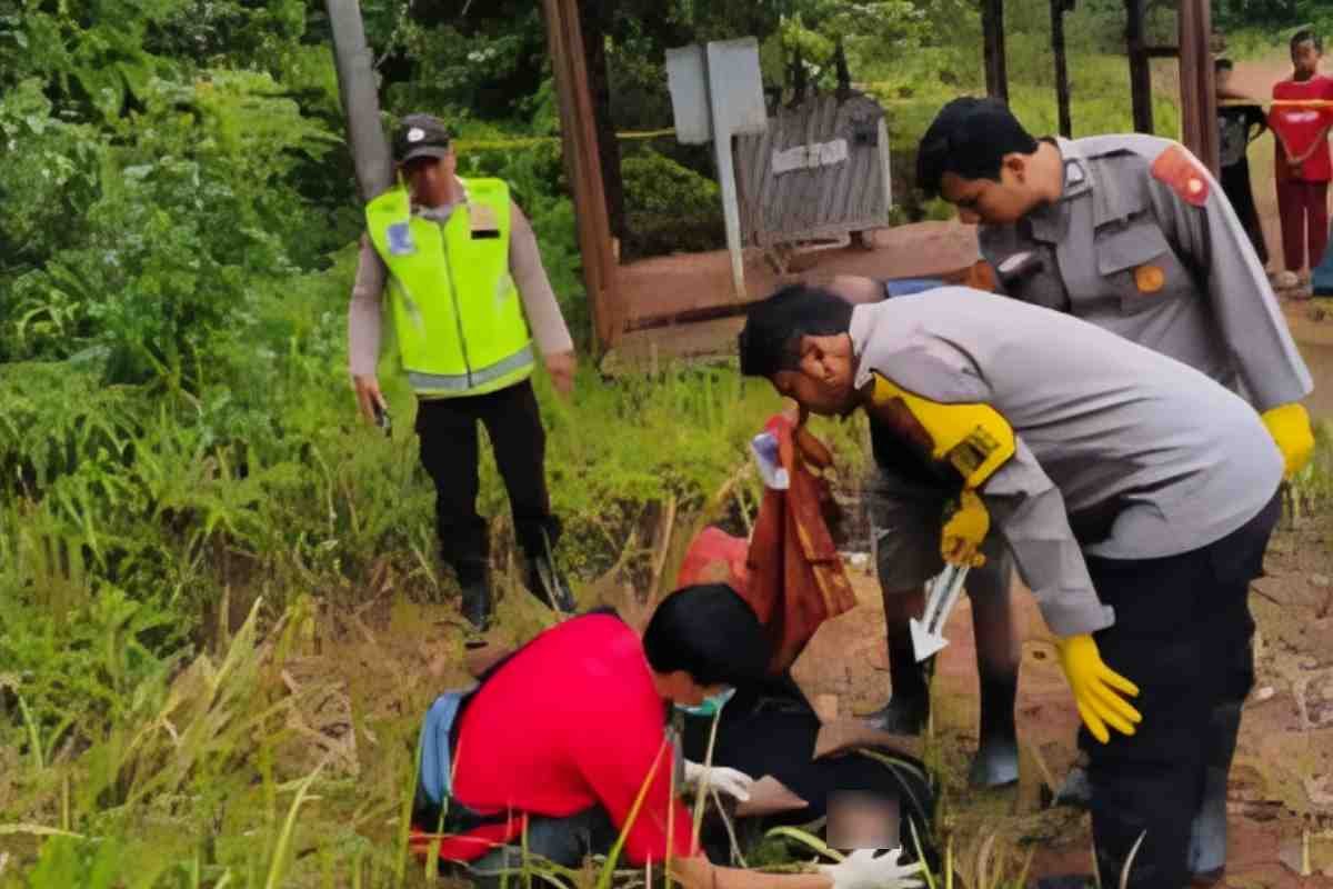Diduga Tersengat Listrik Tegangan Tinggi Saat Panen Sawit, Petani di Peninjauan Meninggal