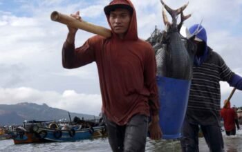 Ekspansi Akuakultur Asia Menopang Rekor Baru Produksi Perikanan Dunia