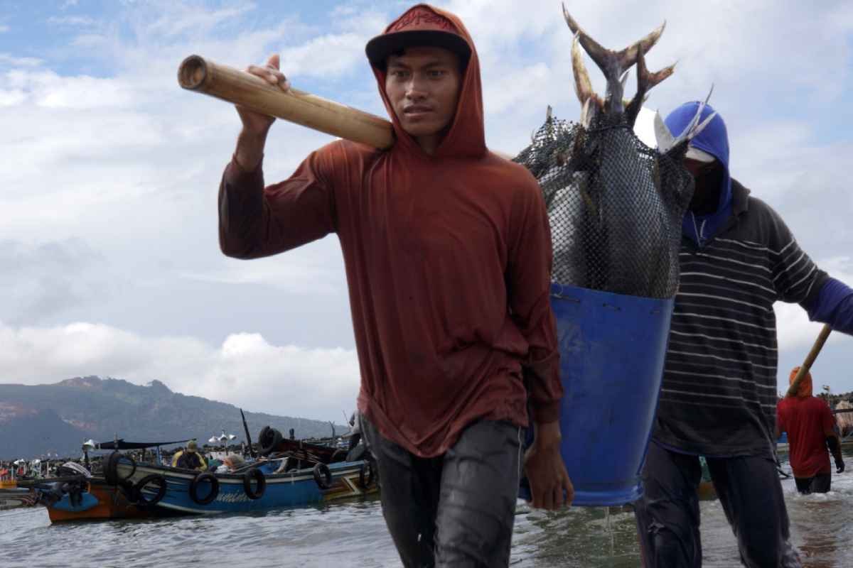 Ekspansi Akuakultur Asia Menopang Rekor Baru Produksi Perikanan Dunia