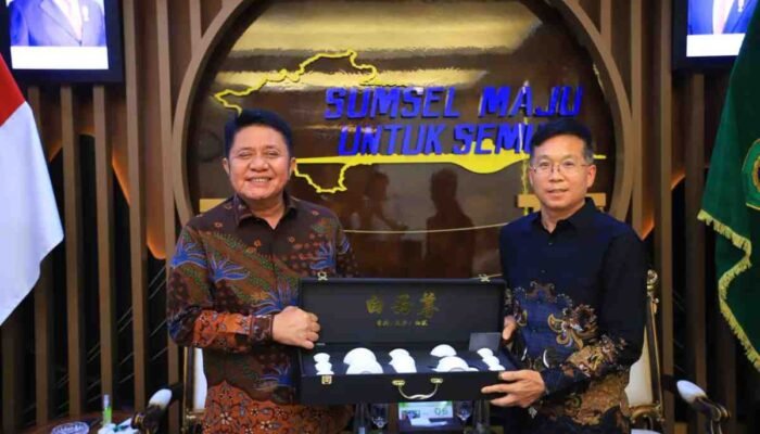 Investor China Siapkan PLTA di OKU Selatan, Sumsel Prioritaskan Hutan dan Pekerja Lokal