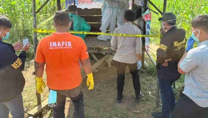Kisah Pilu Pria Tanpa Nama di Banding Agung, Meninggal dalam Kesunyian dan Kebaikan Warga