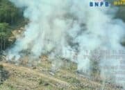 Lima Titik Api Karhutla Mulai Kepung Sumatera Selatan