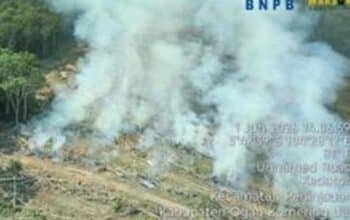 Lima Titik Api Karhutla Mulai Kepung Sumatera Selatan