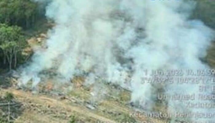 Lima Titik Api Karhutla Mulai Kepung Sumatera Selatan
