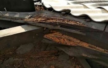 Menjaga Warisan Rumah Yogyakarta dari Kerusakan Struktur Tak Kasatmata