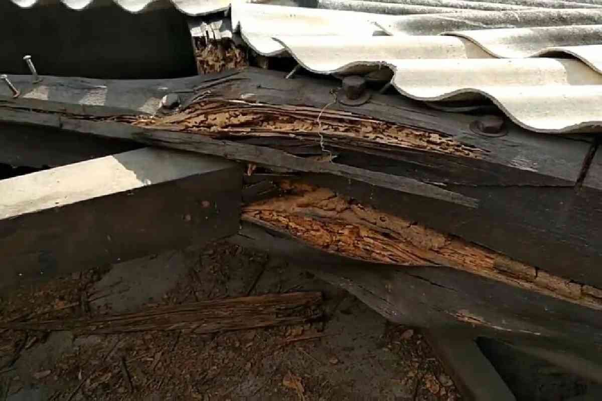 Menjaga Warisan Rumah Yogyakarta dari Kerusakan Struktur Tak Kasatmata