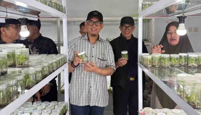 Pemkab OKU Adopsi Teknologi Kultur Jaringan guna Selamatkan Varietas Buah Endemik dari Kepunahan