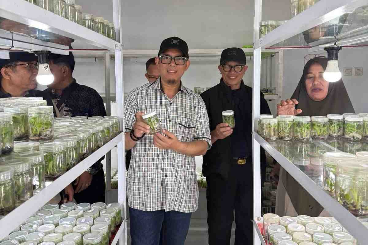 Pemkab OKU Adopsi Teknologi Kultur Jaringan guna Selamatkan Varietas Buah Endemik dari Kepunahan