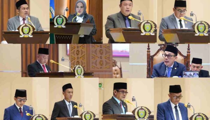 Ragam Pandangan dan Masukan Fraksi