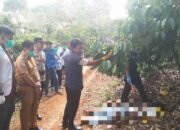 Tersulut Pelecehan Verbal terhadap Ibu Kandung, Pelaku Pembunuhan di OKU Selatan Ditangkap Setelah Dua Tahun Buron