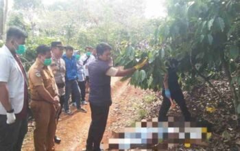 Tersulut Pelecehan Verbal terhadap Ibu Kandung, Pelaku Pembunuhan di OKU Selatan Ditangkap Setelah Dua Tahun Buron