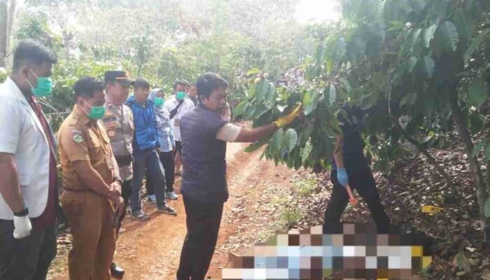 Tersulut Pelecehan Verbal terhadap Ibu Kandung, Pelaku Pembunuhan di OKU Selatan Ditangkap Setelah Dua Tahun Buron
