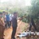 Tersulut Pelecehan Verbal terhadap Ibu Kandung, Pelaku Pembunuhan di OKU Selatan Ditangkap Setelah Dua Tahun Buron