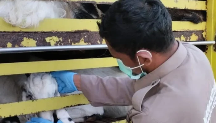 Cegah Ancaman Biosekuriti, Karantina Sumatera Selatan Perketat Pengawasan Spesies Asing Invasif