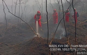 Karhutla Sumsel Mulai Meluas, Gambut Pedamaran Timur Masih Membara