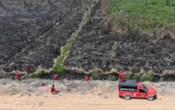 Kebakaran Lahan Gambut di Tulung Selapan OKI Belum Padam