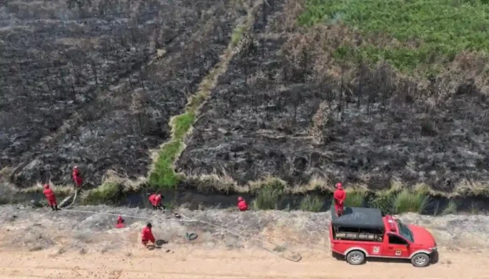 Kebakaran Lahan Gambut di Tulung Selapan OKI Belum Padam