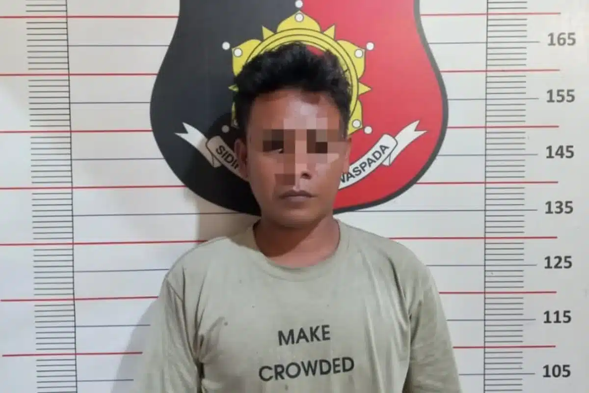 Setelah Empat Bulan Buron, Pelaku Pencurian Sawit Menyerahkan Diri
