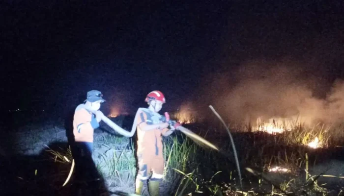 Perluasan di Kawasan Rawa Ogan Ilir