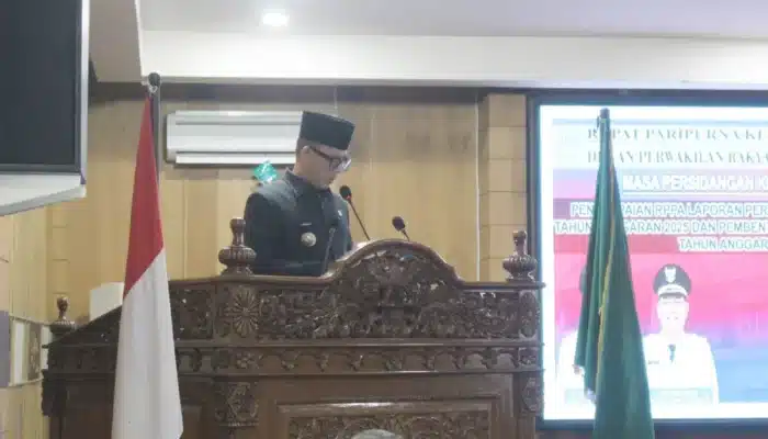 Realisasi Kinerja APBD 2025