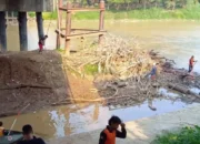 Surutnya Sungai Ogan Picu Fenomena Warga Mendulang Emas