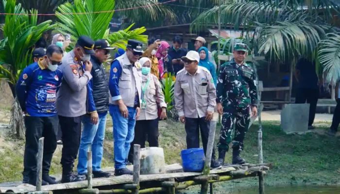Budidaya Patin