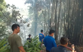 Diduga Akibat Bakar Sampah, Lahan Dekat Permukiman di Baturaja Ludes Terbakar