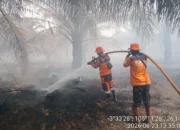 Lonjakan Titik Panas di Ogan Komering Ilir Picu Eskalasi Karhutla Lahan Gambut