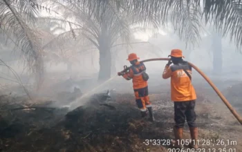 Lonjakan Titik Panas di Ogan Komering Ilir Picu Eskalasi Karhutla Lahan Gambut