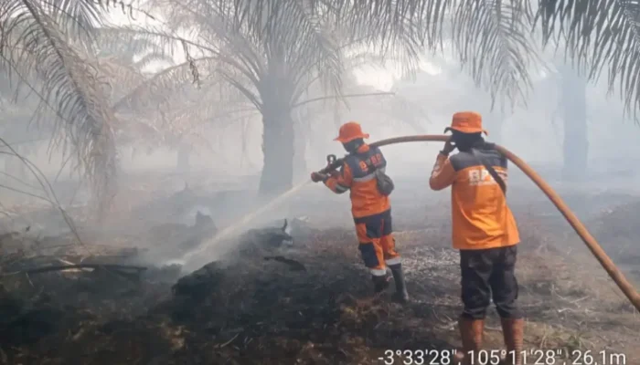 Lonjakan Titik Panas di Ogan Komering Ilir Picu Eskalasi Karhutla Lahan Gambut